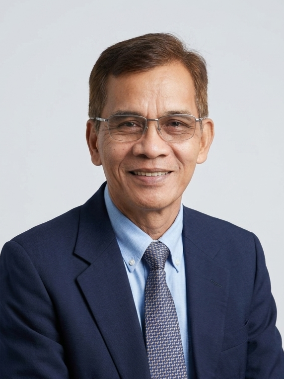 Mr. Anton M. Llanes